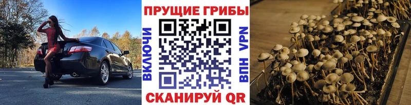 Галлюциногенные грибы Cubensis  Купить  Северо-Курильск 